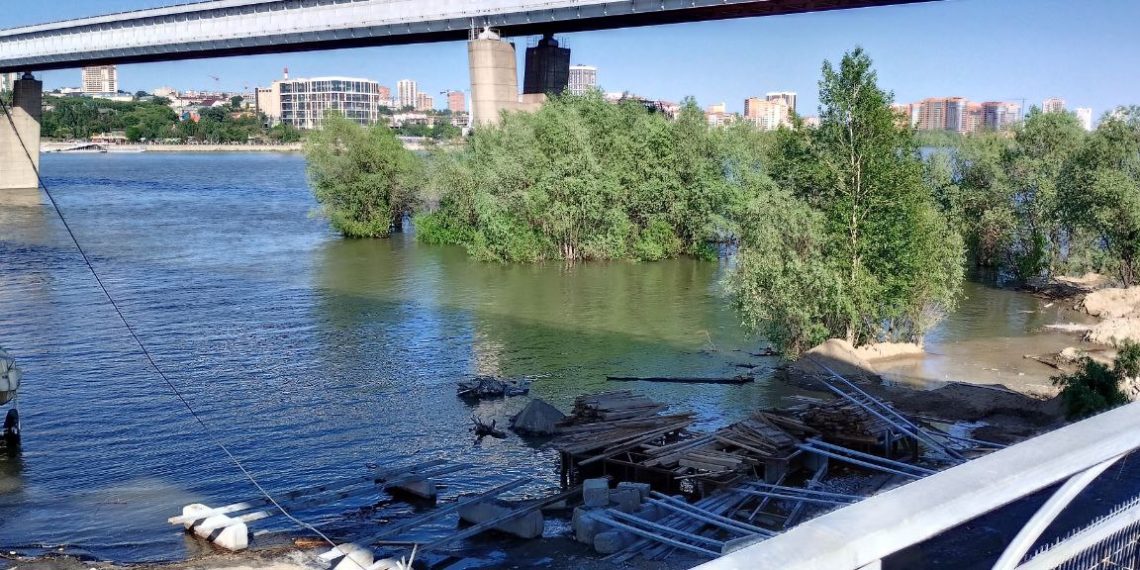 «Губят реку по всему течению»: названа причина гибели рыбы в Оби