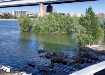 «Губят реку по всему течению»: названа причина гибели рыбы в Оби