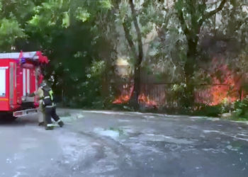 Вспыхнувший тополиный пух и привел к пожару у школы в Новосибирске