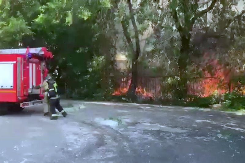 Вспыхнувший тополиный пух и привел к пожару у школы в Новосибирске