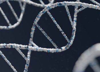 Новосибирские ученые обнаружили механизм «ремонта» поврежденных ДНК