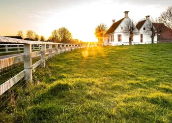 В Госдуме предложили бесплатно давать землю семьям после 10 лет брака