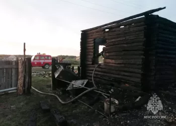 Под Новосибирском два человека сгорели заживо в бревенчатом доме