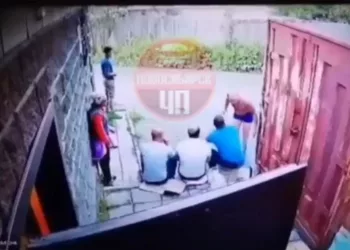 Полуголый дачник разогнал толпу цыган в СНТ под Новосибирском