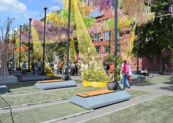 «Флористы в шоке»: соцсети защитили цветочную аллею на улице Ленина от вандализма