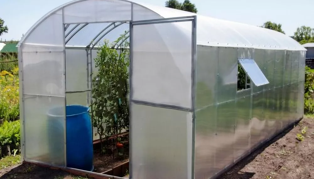 Теплицы из поликарбоната: Идеальное решение для современного садоводства