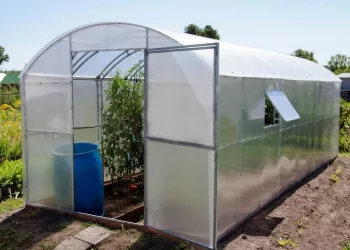 Теплицы из поликарбоната: Идеальное решение для современного садоводства
