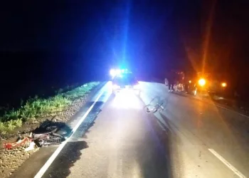 Под Новосибирском водитель сбил насмерть 45-летнего велосипедиста