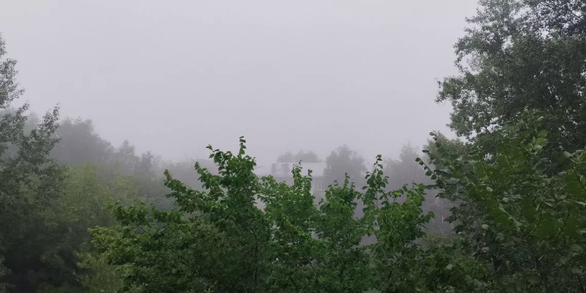 В Новосибирске первый рабочий день начался с густого тумана