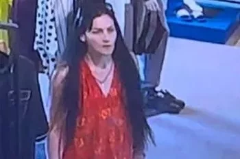 В Новосибирске ищут воровку сумки за 80 тысяч рублей