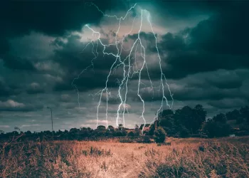 Подростка убило после удара молнии в шалаш в селе под Новосибирском