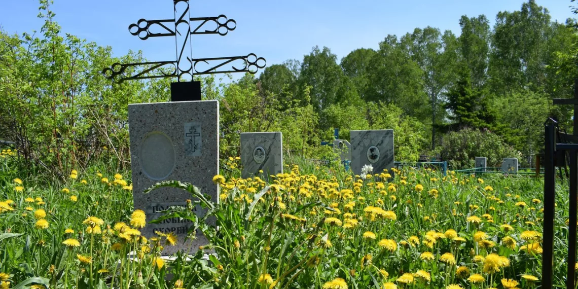 В Новосибирской области смертность превысила рождаемость почти на 40%