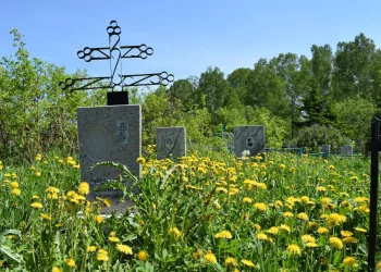 В Новосибирской области смертность превысила рождаемость почти на 40%