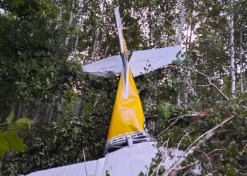 Стала известна причина жесткой посадки легкомоторного самолета в Новосибирске