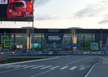 Суд постановил ликвидировать оккупированную птицами свалку возле Толмачево до 29 июля