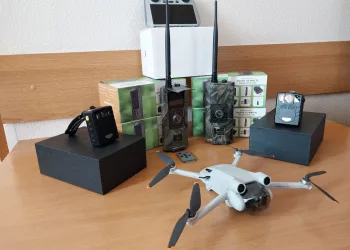 В Новосибирской области чёрных лесорубов будут ловить с помощью видео- и фотоловушек