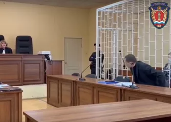 Напавшей на детский сад мужененавистнице из Красноярска вынесли приговор