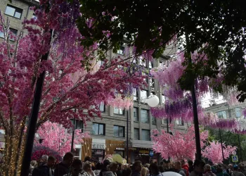 Власти объявили о закрытии Фестиваля цветов на улице Ленина