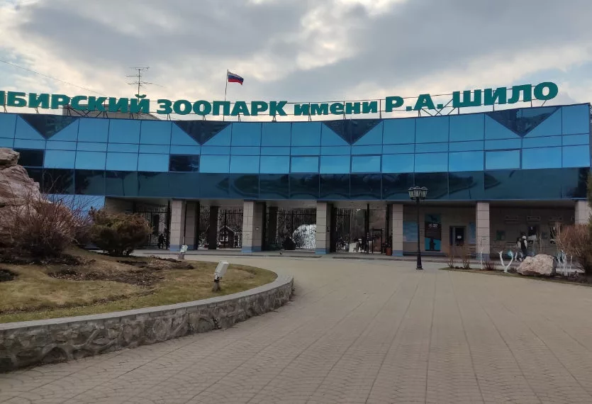 Зоопарк им. Шило начал прием заявок на фотоконкурс «Животные Новосибирского зоопарка»