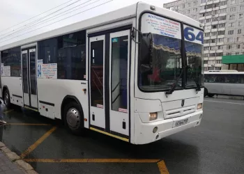 В Новосибирске запустили онлайн-карту для оплаты проезда