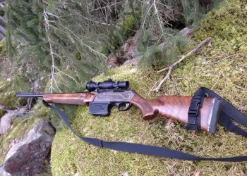 Охотник из Новосибирска отделался условным сроком за изготовление и хранение оружия