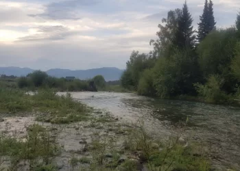 Двухлетний ребёнок утонул в реке в сибирском регионе, пока мать купалась