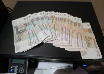 В Барабинске задержали 23-летнюю девушку за проведение подпольных игр