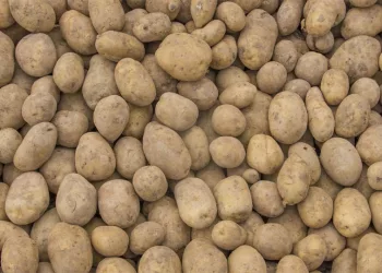 Цены на апельсины и картофель взлетели на 60% в Новосибирской области