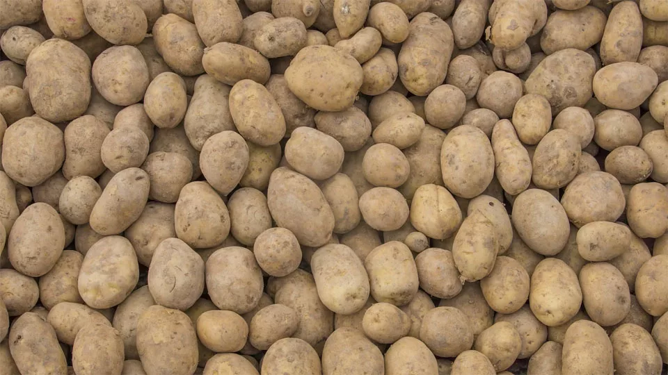 Цены на апельсины и картофель взлетели на 60% в Новосибирской области