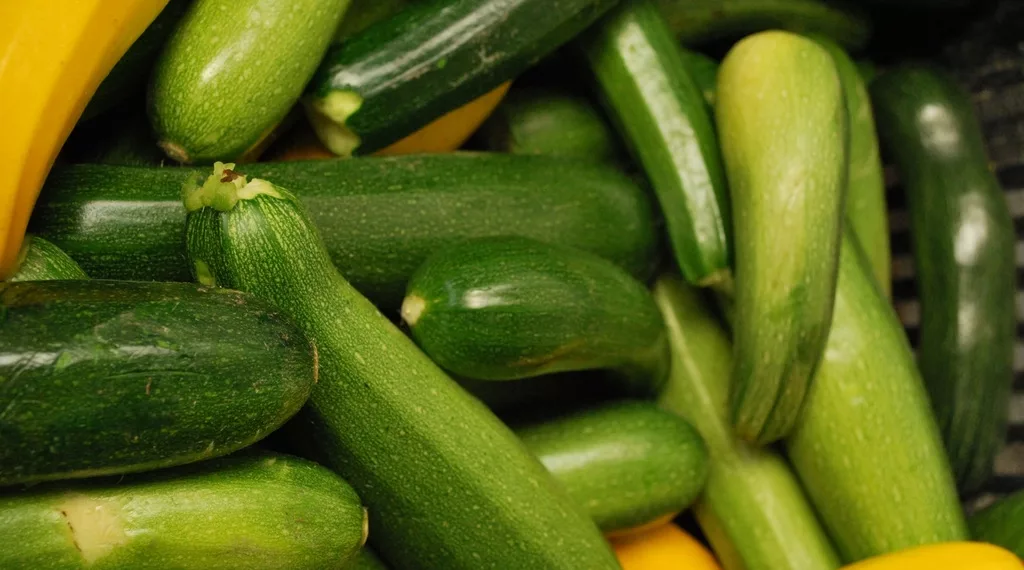 Тает во рту: топ-10 популярных рецептов кабачков