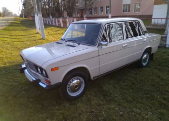 Новосибирец угнал жигули и разобрал его на запчасти 