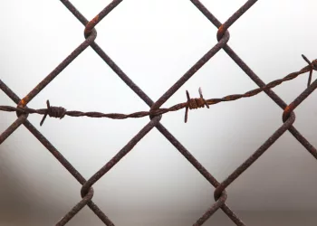 Новосибирские военные задержали члена украинской террористической организации