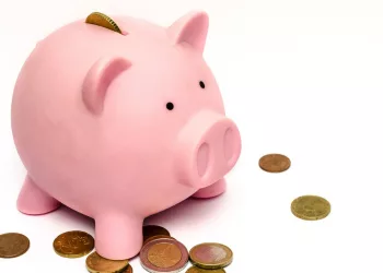 Благодаря прокуратуре Новосибирска 1,2 млн рублей пойдут федеральный бюджет