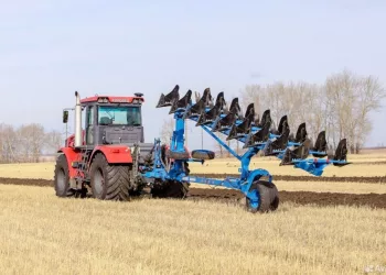 В Новосибирске продают агрохолдинг за 850 млн рублей