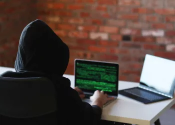 В Новосибирске автор DDoS-атаки рассказал о розыске хакеров из России