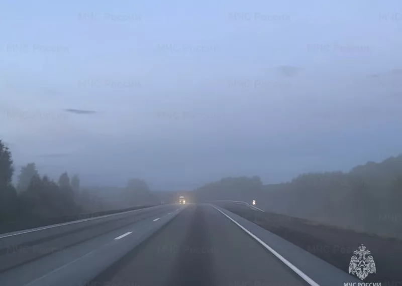 В Новосибирской области МЧС назвало самые опасные районы для поездок в период тумана