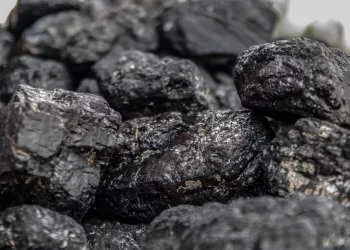 УФАС уличил новосибирского заказчика угля в нарушении на торгах по закупке