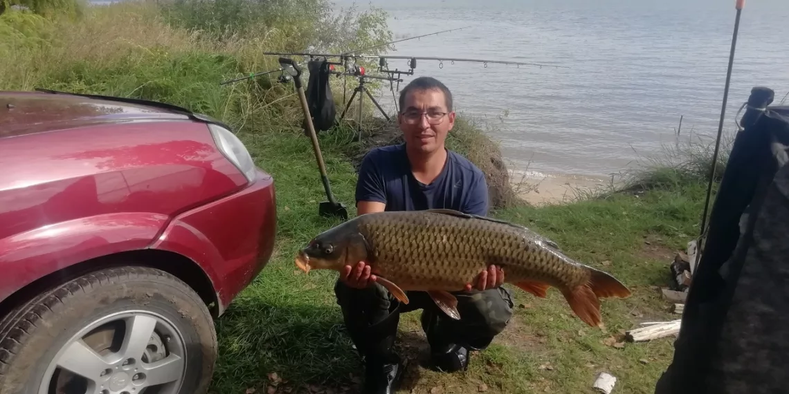 Сибиряк выловил огромного сазана весом 13 кг