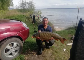 Сибиряк выловил огромного сазана весом 13 кг