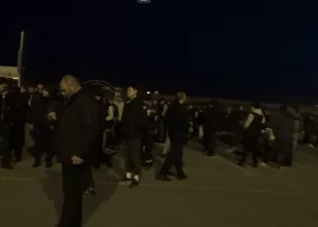 В Новосибирске прошел рейд по выявлению нелегалов