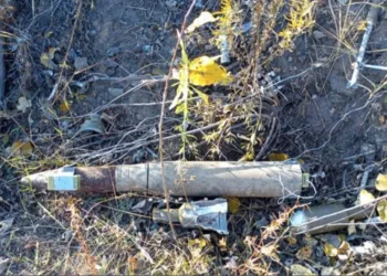 В Новосибирске женщина нашла артиллерийский снаряд на приусадебном участке