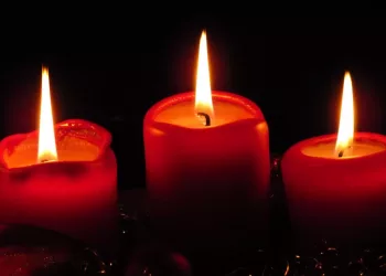 На СВО погиб житель Новосибирской области Головин Владимир