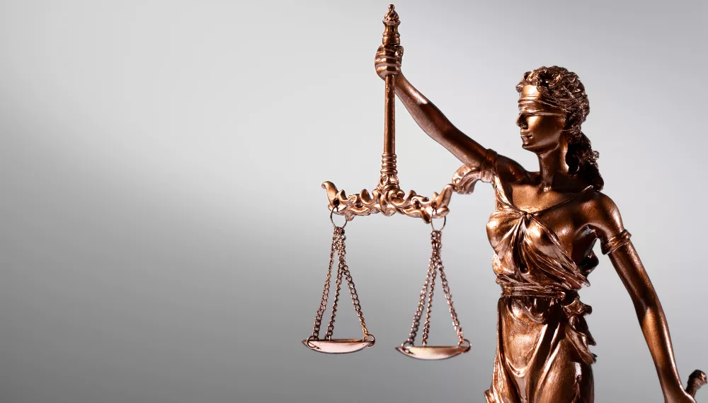 Глава Бердского муниципального учреждения пойдет под суд за падение дерева на женщину