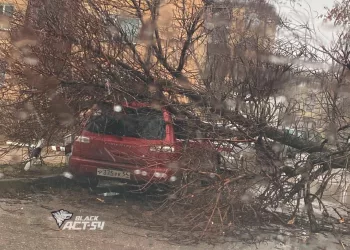 «Обошлись минимально» — Анатолий Локоть о последствиях урагана в Новосибирске