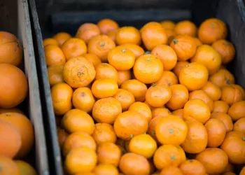 Цены на мандарины в России могут вырасти на 70%