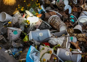 Власти построят мусорный полигон в помощь «задыхающемуся» Гусинобродскому