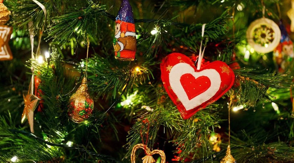 В мэрии назвали места елочных базаров в этом году