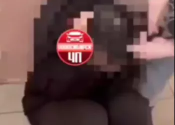 Прокуратура проверит информацию об избиении девочки в школьном туалете толпой подростков