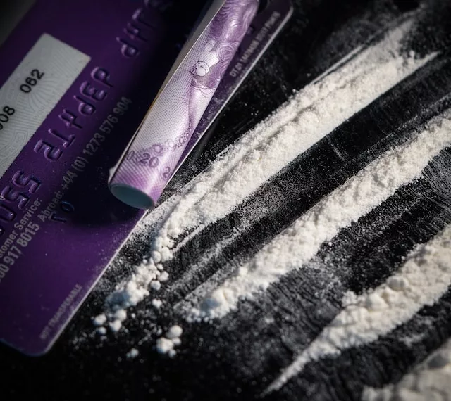 Под Новосибирском накрыли нарколаборторию двух иностранцев с 44 кг мефедрона