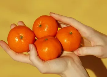 Разнообразим новогодний стол: что приготовить из мандаринов